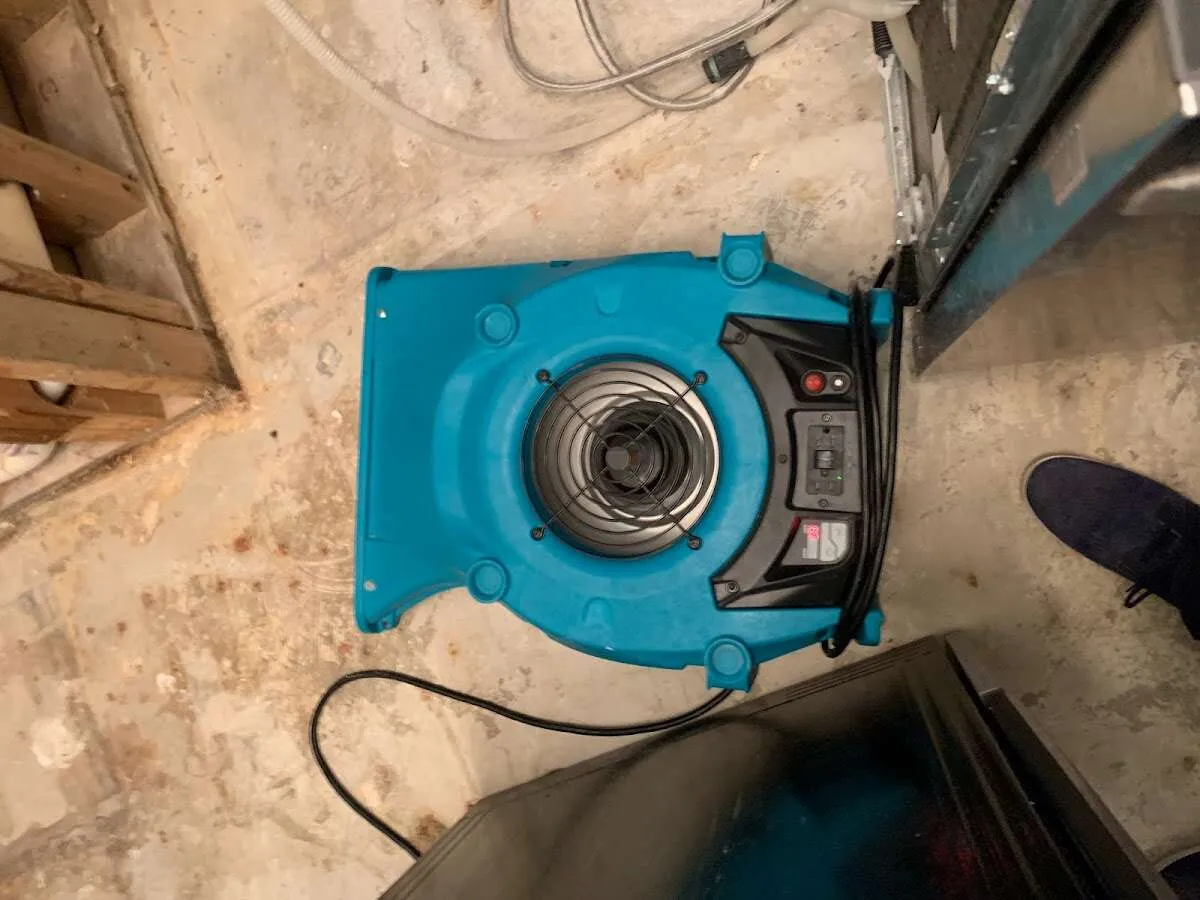 Air mover drying equipment for Mold Remediation & Removal in Mount Olive