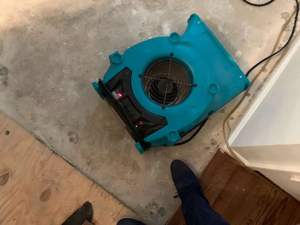 Air mover drying subfloor during Commercial Water Damage Restoration in Mount Olive